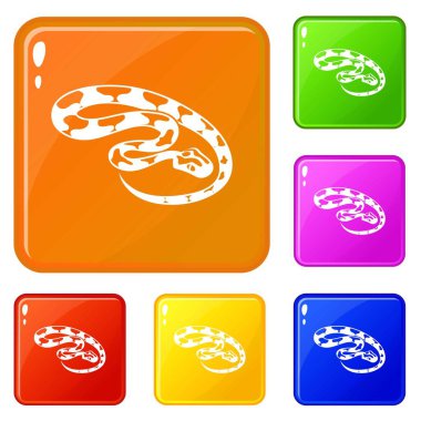 Kral yılan simgeler vektör renk ayarla