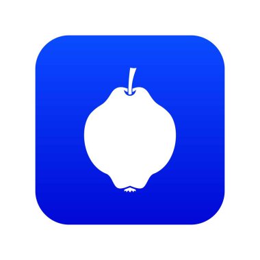 Ayva meyve simgesi dijital mavi