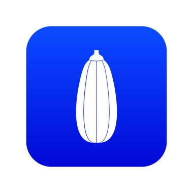 Kabak sebze simgesi dijital mavi