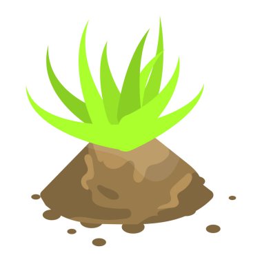 Aloe vera bitki simgesi, izometrik stili