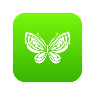 Güzel kelebek yeşil simge vektör