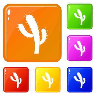 Kaktüs simgeler vektör renk ayarla