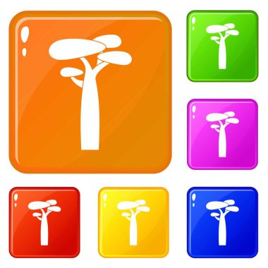 Baobab simgeler vektör renk ayarla