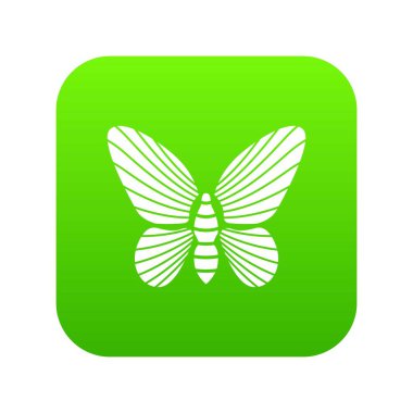 Kanatları yeşil simge vektör üzerinde çizgili desenli kelebek