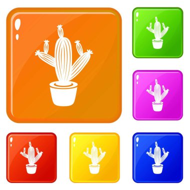 Kaktüs simgeler vektör renk ayarla