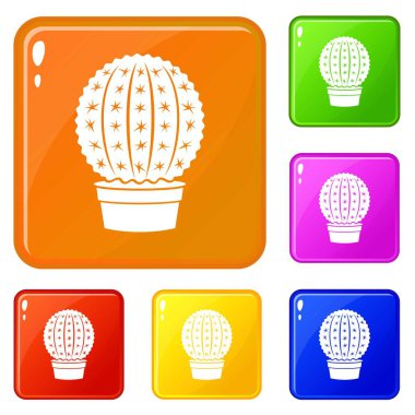 Echinocactus simgeler vektör renk ayarla