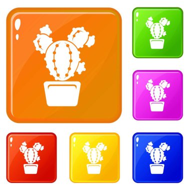 Daire kaktüs simgeler vektör renk ayarla