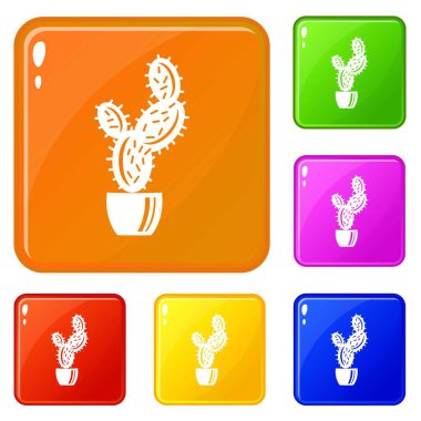 Spike kaktüs simgeler kümesi vektör renk