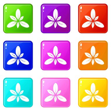 9 renk koleksiyonu yaprak Icons set