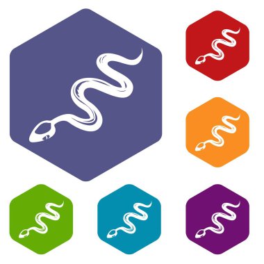 Altı yüzlü tropikal yılan simgeler vektör