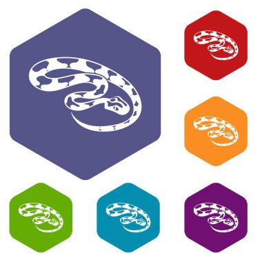 Altı yüzlü Kral yılan simgeler vektör