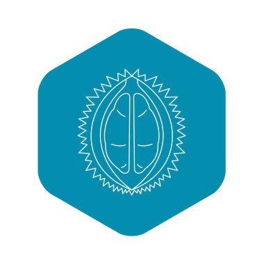 Durian meyve simgesi, özet biçimi