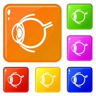 Göz simgeleri anatomisi vektör renk ayarla