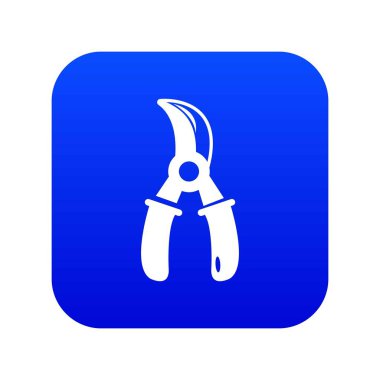 Üzüm makas mavi simge vektör