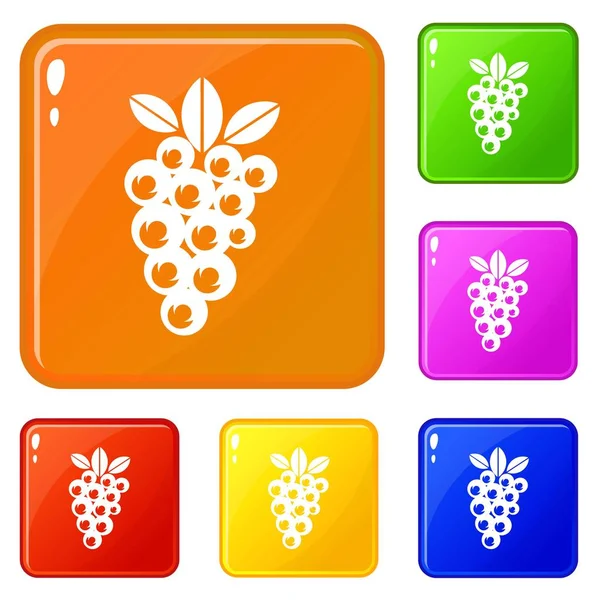 Wijn van de druif iconen instellen vector kleur — Stockvector