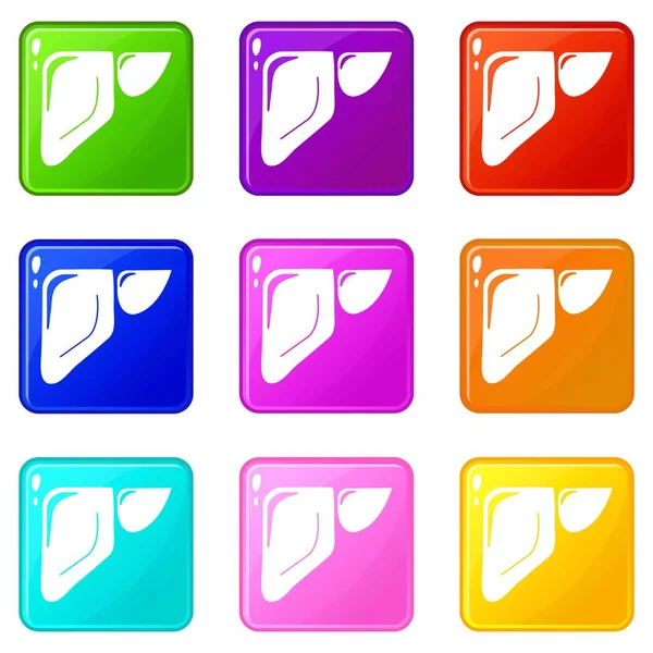 Conjunto de iconos hepáticos 9 colección de colores — Vector de stock
