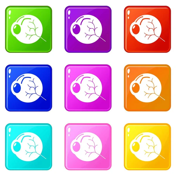 Conjunto de iconos de ojo humano 9 colección de colores — Vector de stock