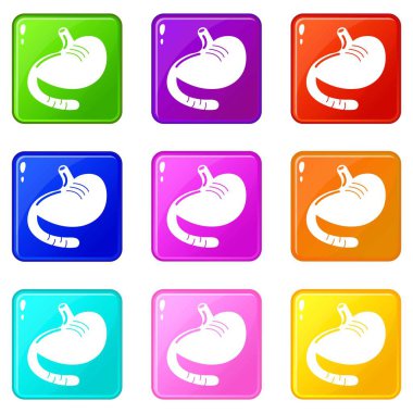 Mide simgeler 9 renk koleksiyonu ayarla