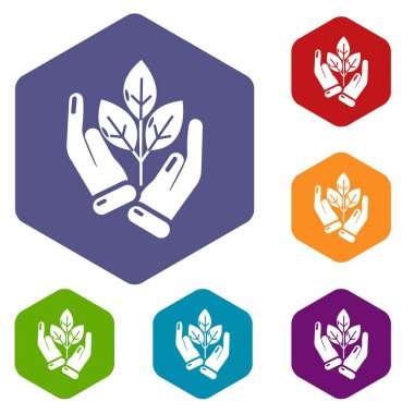 Altı yüzlü el Filiz simgeler vektör