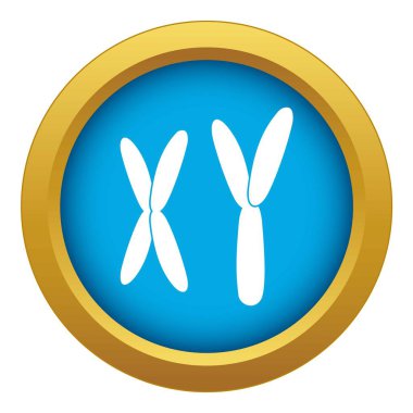 İzole insan kromozomlarının mavi simge vektör