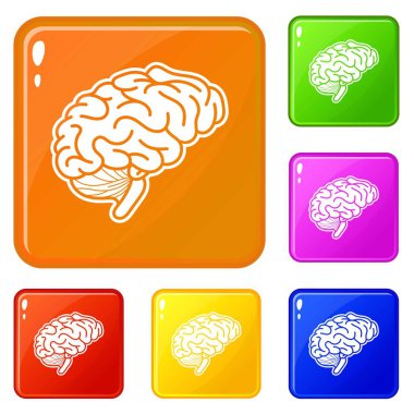 İnsan beyni simgeler vektör renk ayarla