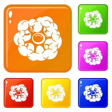 Taze brokoli simgeler vektör renk ayarla