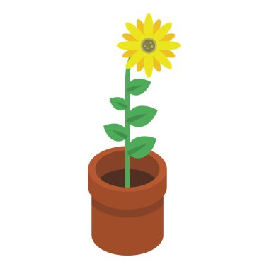 Sunflower in pot icon, isometric style