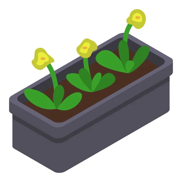 Sárga virágablak pot ikon, izometrikus stílus — Stock Vector