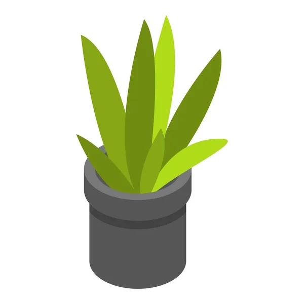 Office plant pot icon, isometric style — Stock Vector
