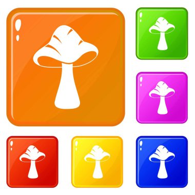 Büyük mantar simgeler vektör renk seti