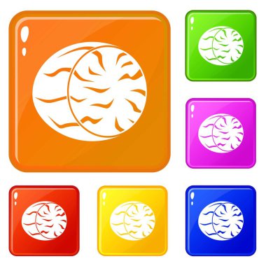 Hindistan cevizi simgelerinin yarısı vektör rengini ayarlayın