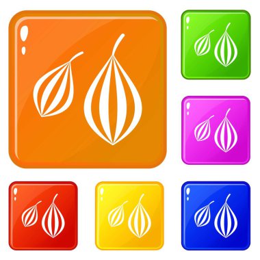 Trachyspermum simgeler vektör renk seti