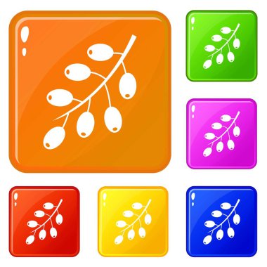 Barberry şube simgeleri vektör rengi ayarlamak