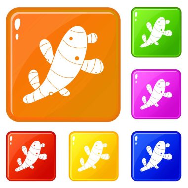 Zencefil simgeleri vektör renk seti