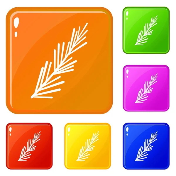 Rosemary icônes d'épices définir la couleur vectorielle — Image vectorielle