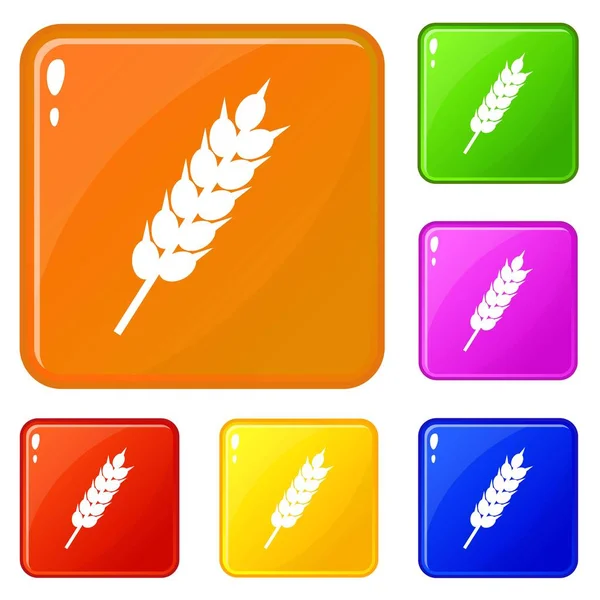 Iconos de espiga de trigo seco set vector de color — Vector de stock