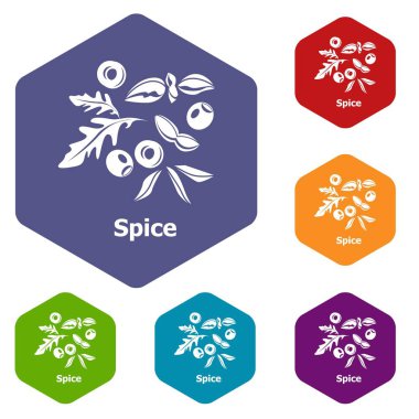 Baharat simgeleri vektör altı yüzlü