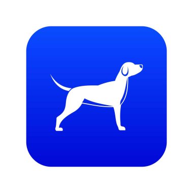 Köpek simgesi dijital mavi
