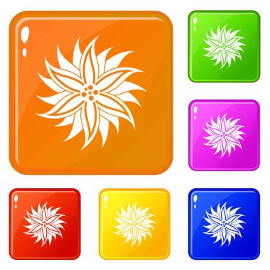 Çiçek simgeler vektör renk ayarla