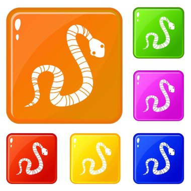 Çizgili yılan simgeleri vektör rengi ayarlamak