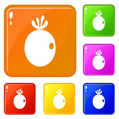 Feijoa meyve simgeler vektör renk seti