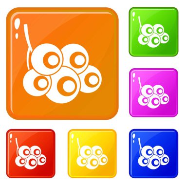 Viburnum şube simgeleri vektör rengini ayarlamak