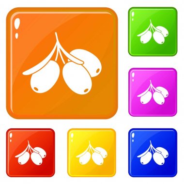 Deniz topalak şube simgeler vektör renk ayarlamak