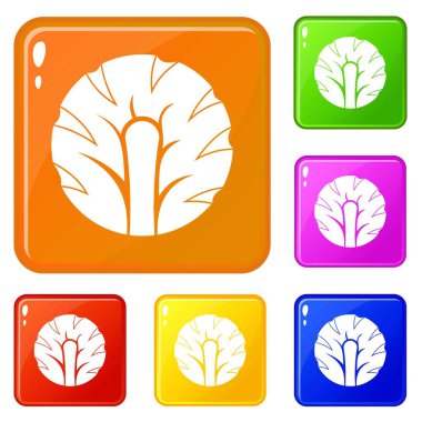 Brokoli simgeleri taze dilim vektör rengi ayarlamak