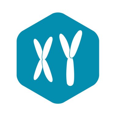 İnsan kromozomlarının simgesi, basit tarzı