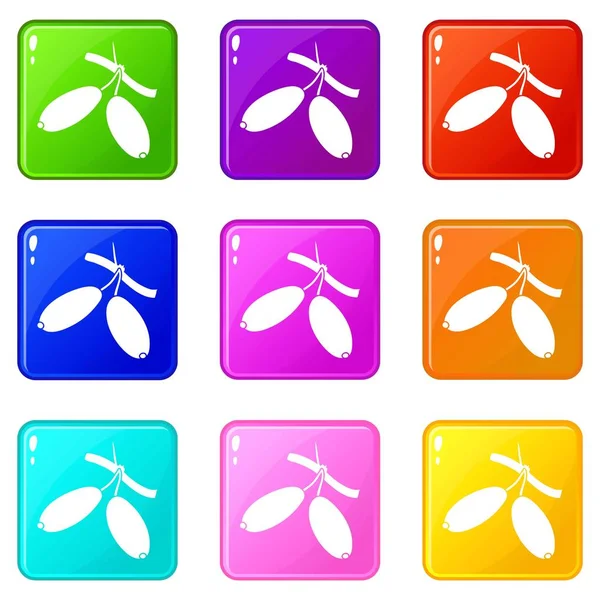 Barberry icons set 9 color collection — Stock Vector
