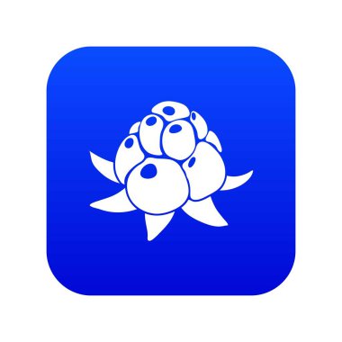 Vahşi ahududu ikonu mavi vektörü