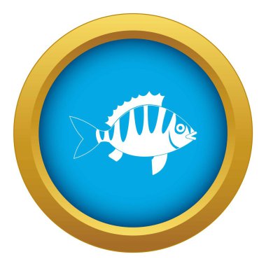 Levrek simgesi mavi vektör izole