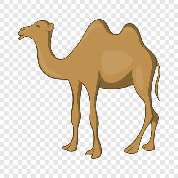 Camel icon, cartoon style