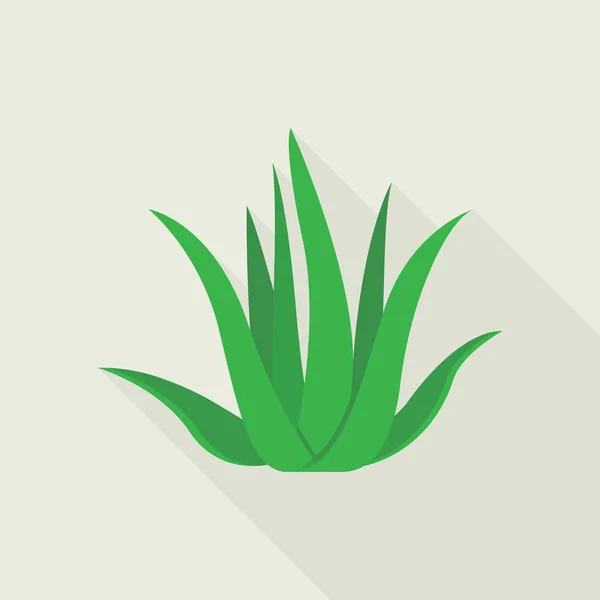 Ícone de planta Aloe vera, estilo plano — Vetor de Stock
